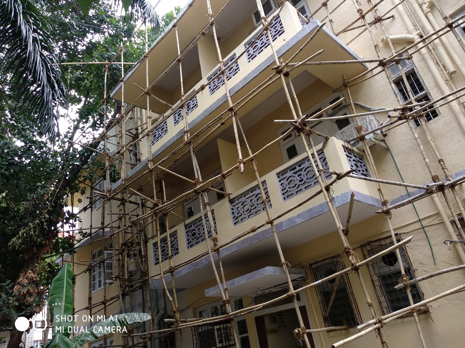 IMG_20190614_123902(1)