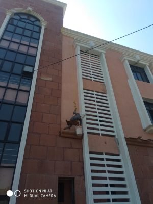 IMG_20200119_130555(1)